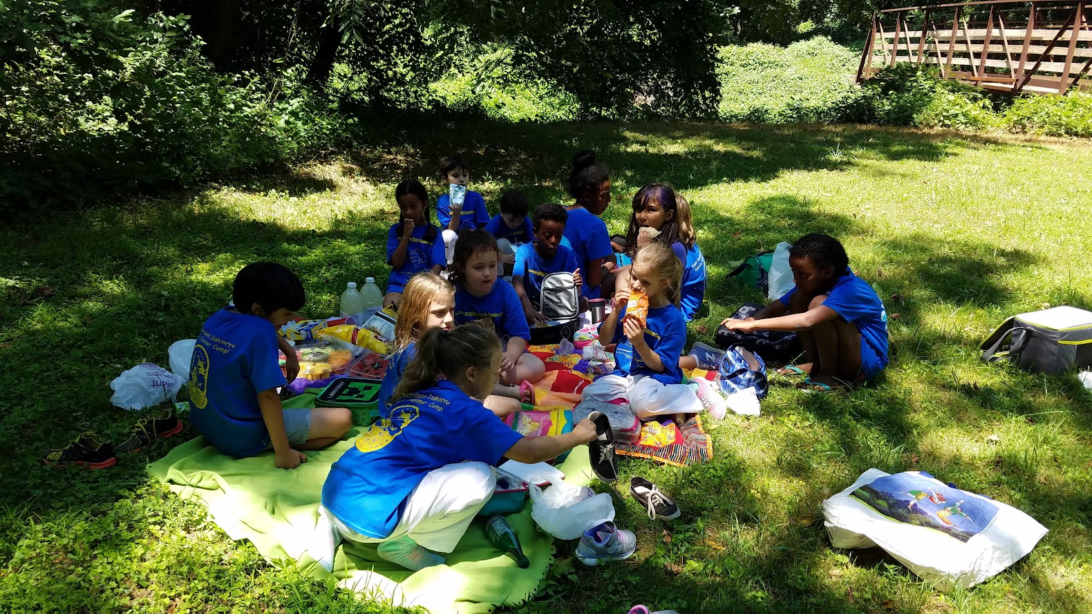 Picnic lunch outdoors