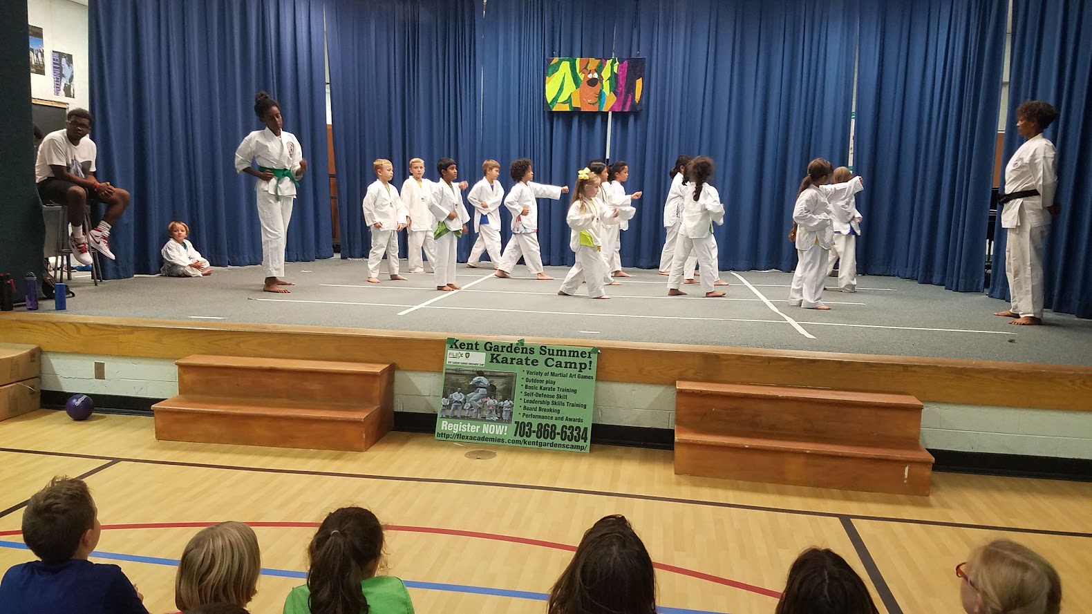 Karate demonstration punching on stage