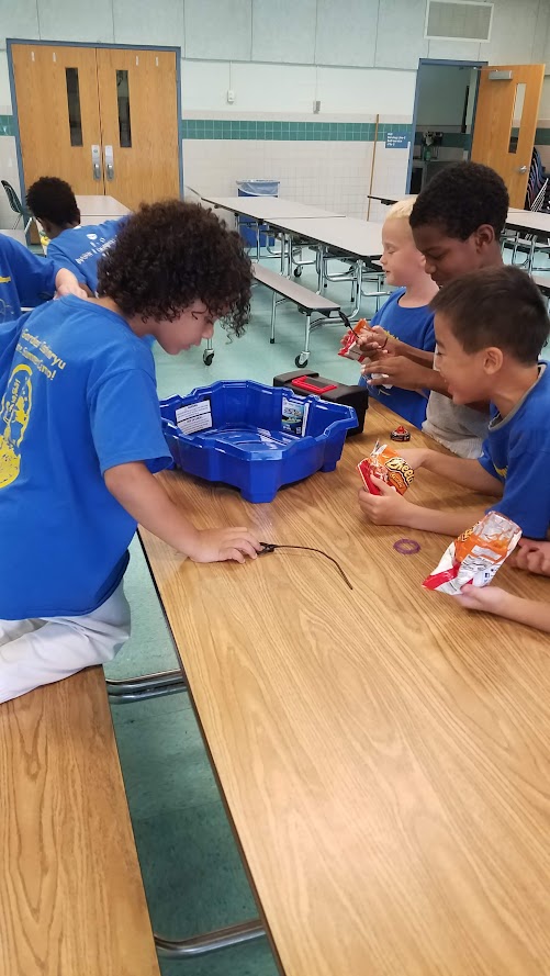 Kids playing Beyblade at table