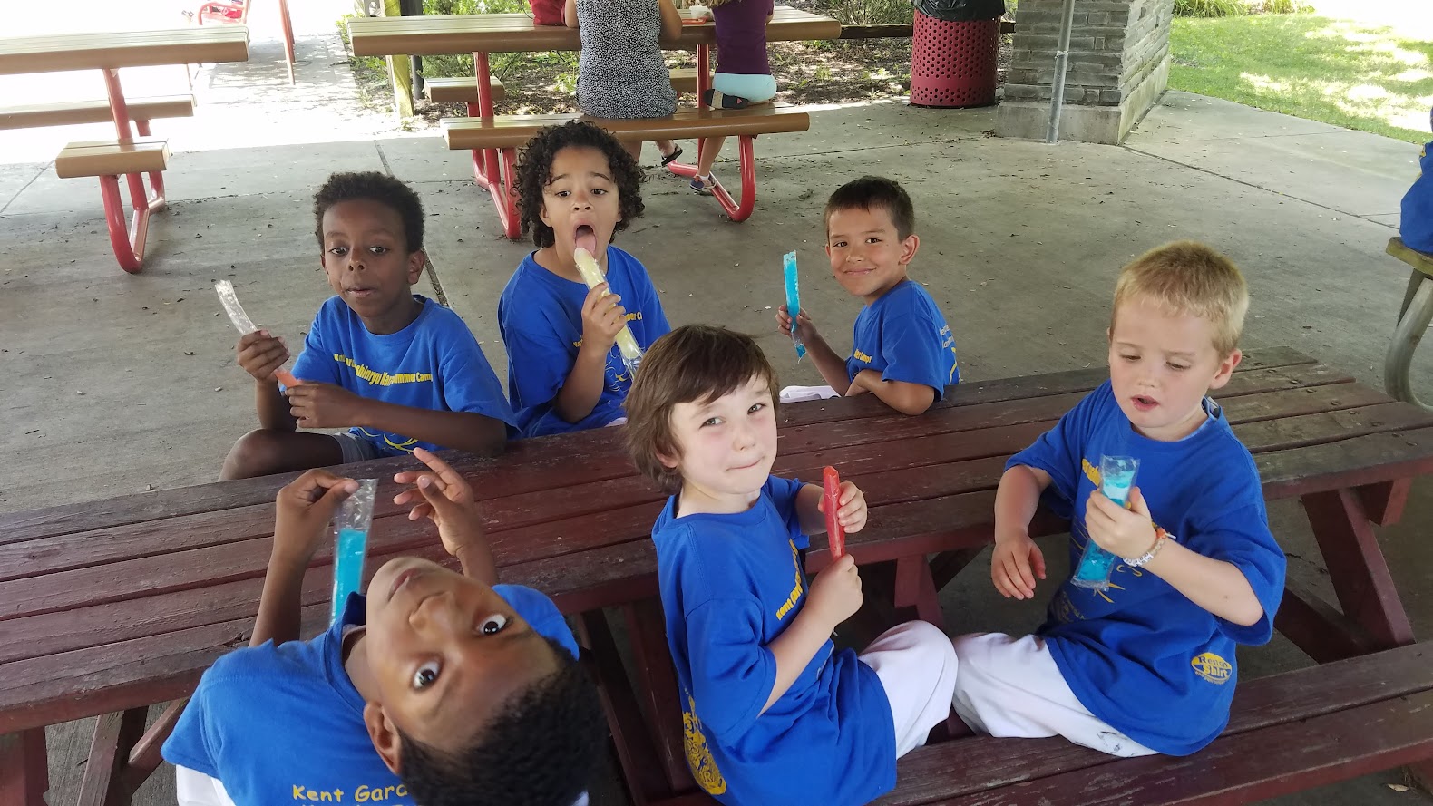 Popsicles at picnic table