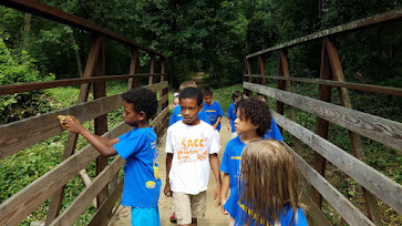 Group crossing wooden bridge in nature