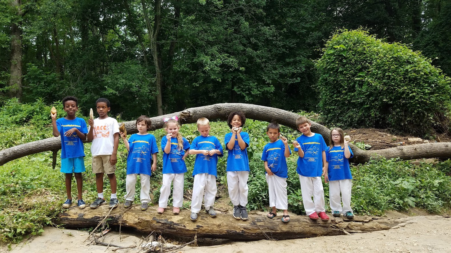 Group standing on fallen tree log