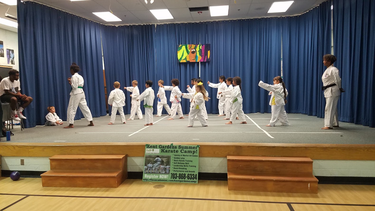 Karate demonstration punching on stage